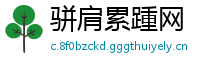 骈肩累踵网
